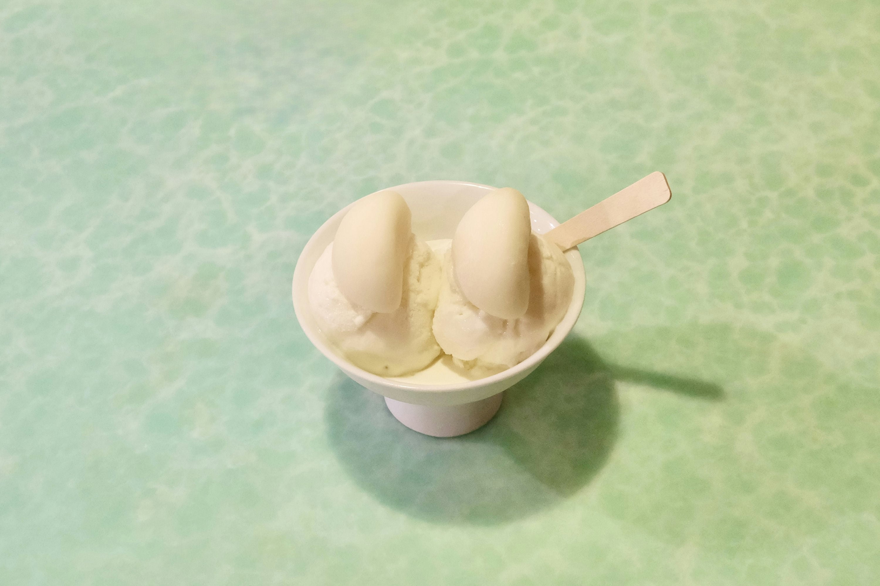 Coconut Ice Cream with Vanilla Mochi